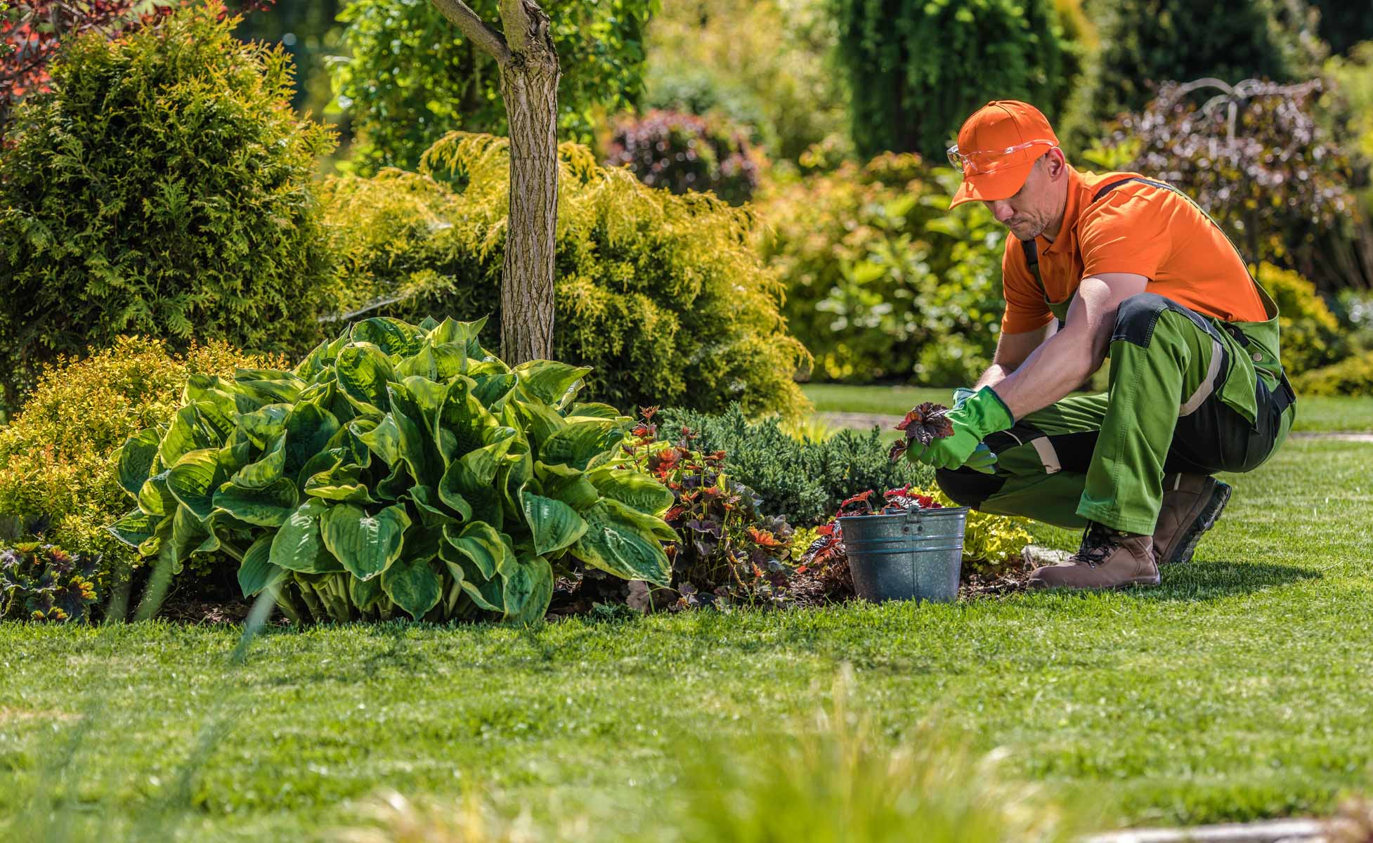 Gartenpflege im Frühjahr in Melsungen | Tipps vom Profi